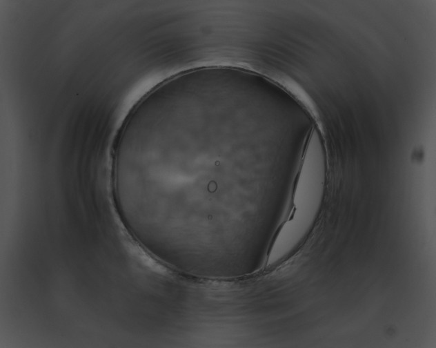 X0000091541096200708311326