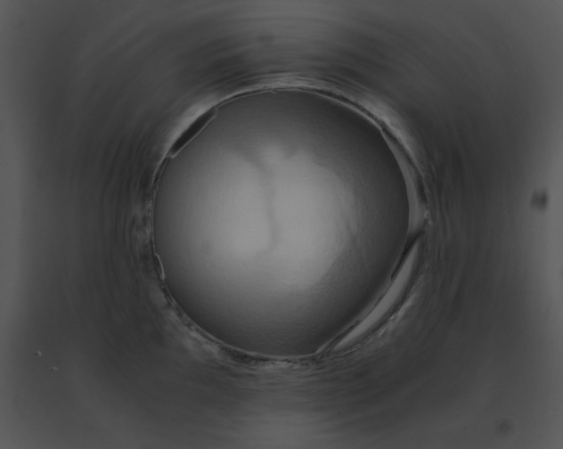 X0000091541097200708311326