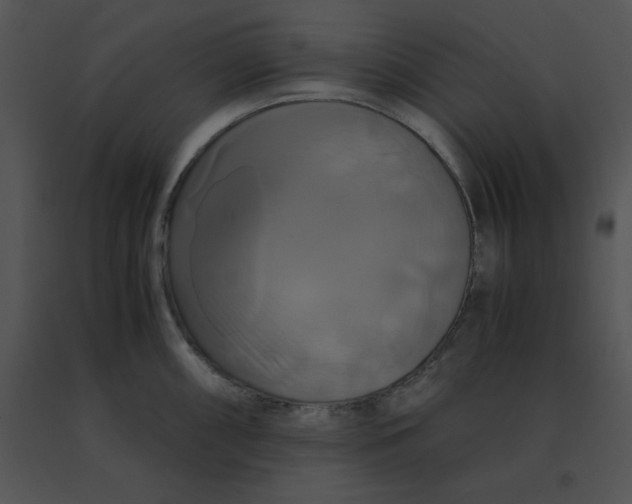 X0000091541098200708311326