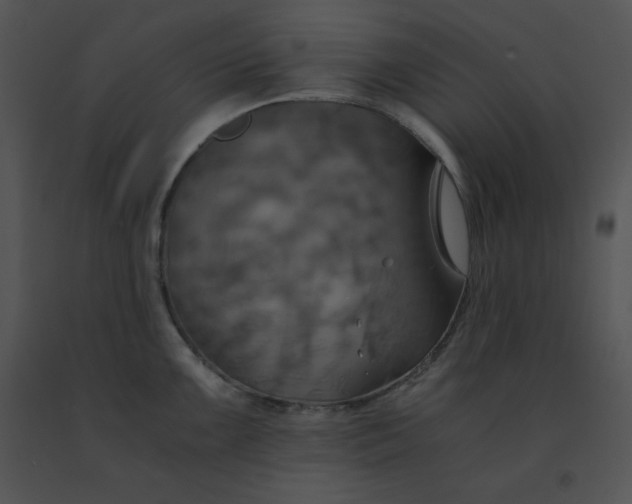 X0000091541099200708311326