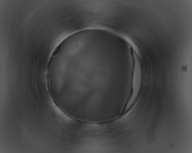 X0000091541100200708311326