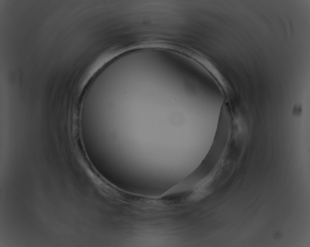 X0000091541101200708311326