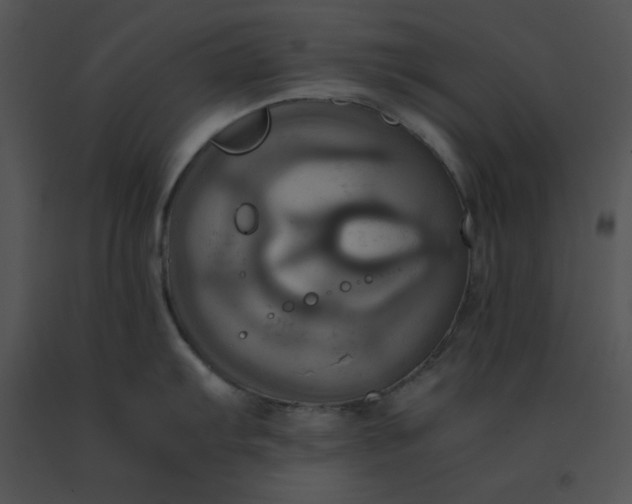 X0000091541103200708311326