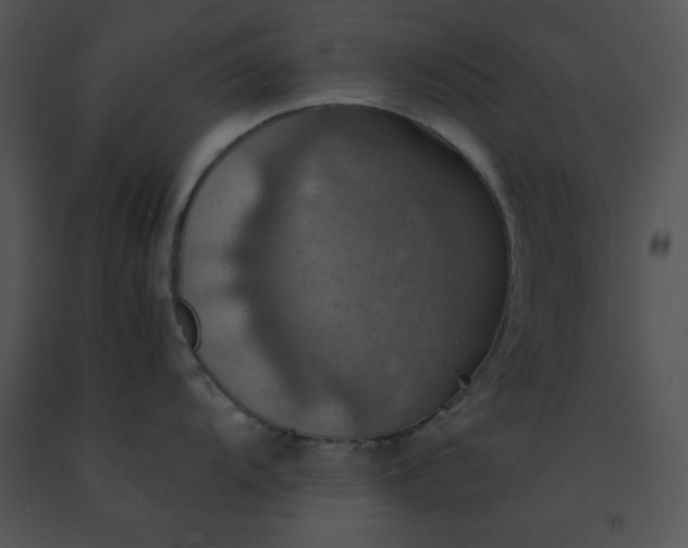 X0000091541104200708311326