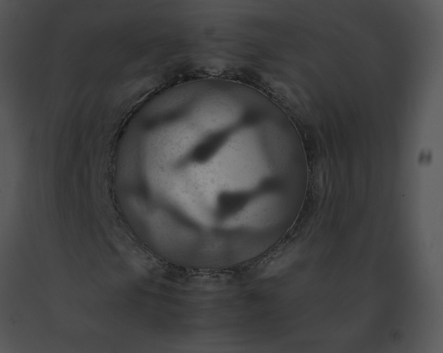 X0000091541105200708311325