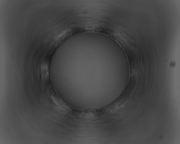 X0000091541106200708311325