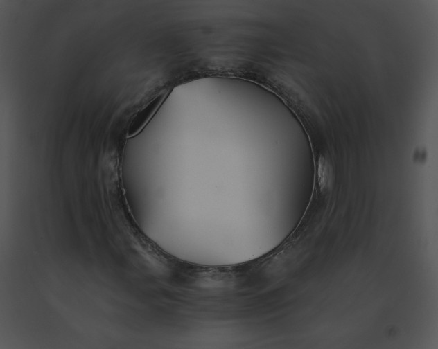 X0000091541107200708311325