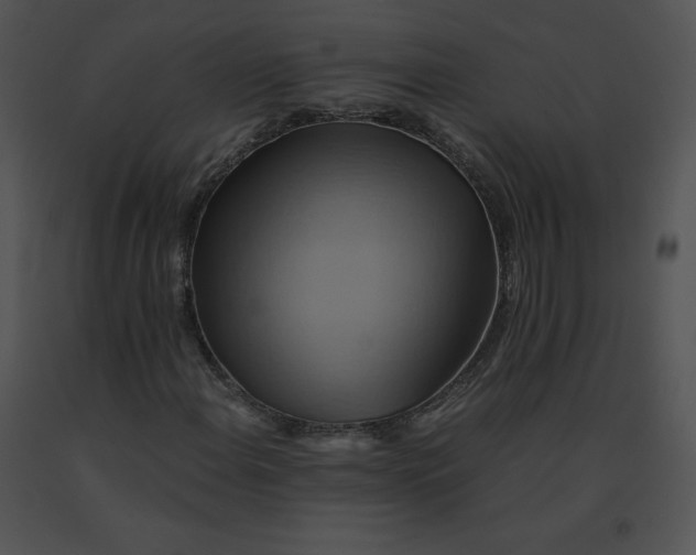 X0000091541108200708311325