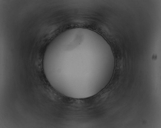 X0000091541109200708311325
