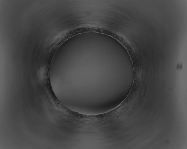 X0000091541110200708311325