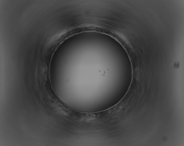 X0000091541111200708311325