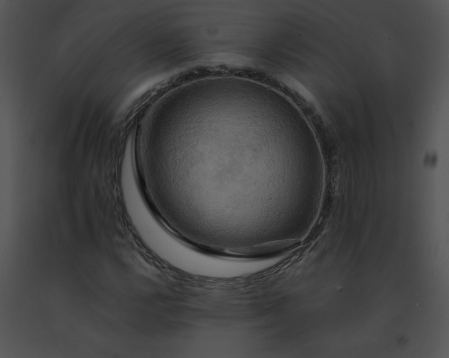 X0000091541112200708311325