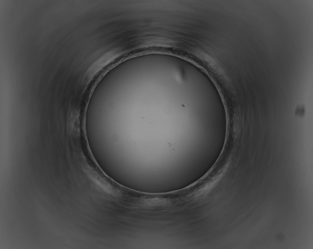 X0000091541113200708311325