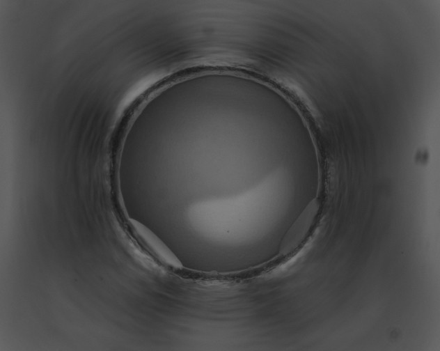 X0000091541114200708311325