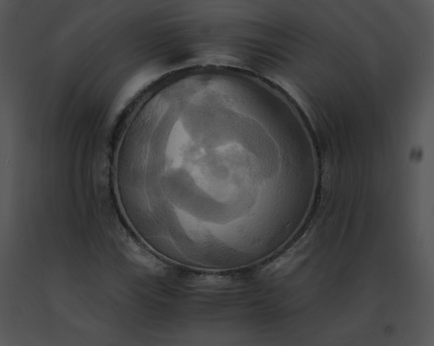 X0000091541115200708311326