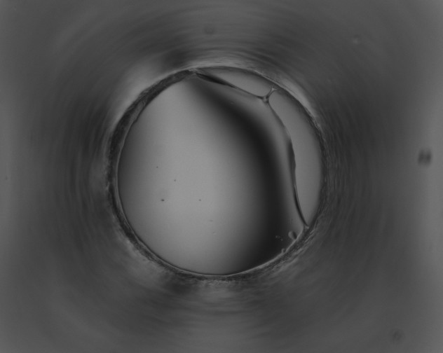 X0000091541116200708311326