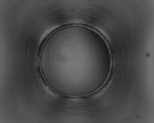 X0000091541117200708311326