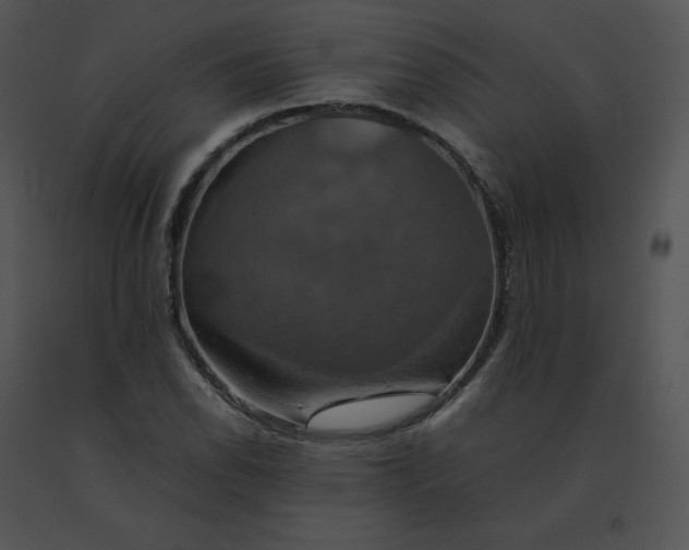 X0000091541118200708311326