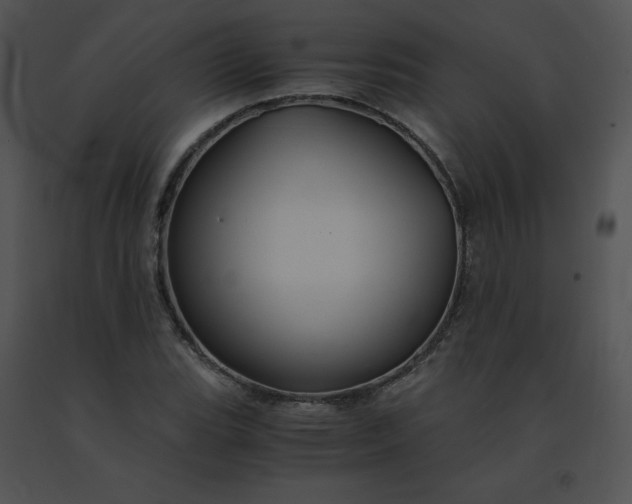 X0000091541119200708311326