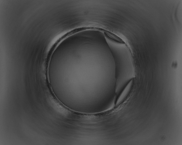 X0000091541120200708311326