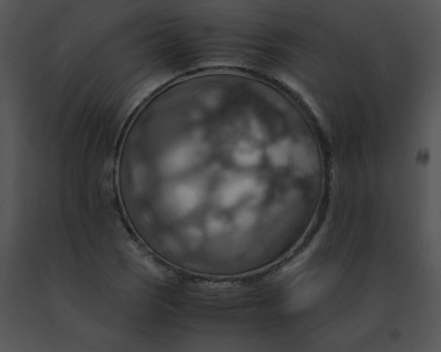 X0000091541121200708311326