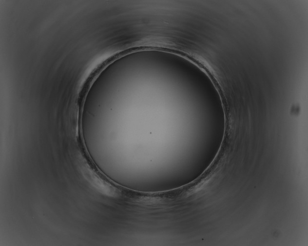 X0000091541123200708311326