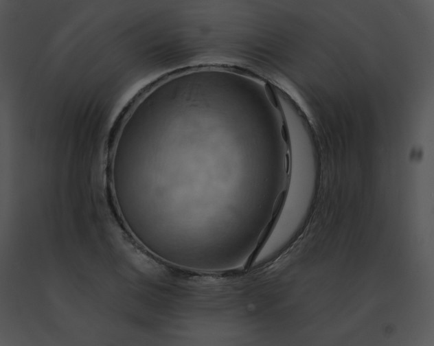 X0000091541124200708311326