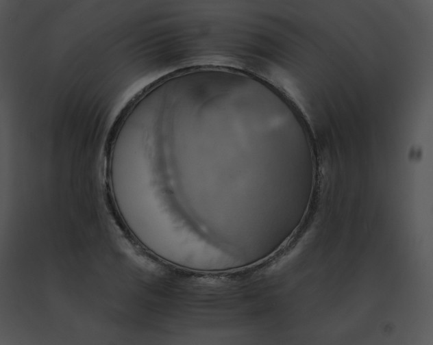 X0000091541125200708311326