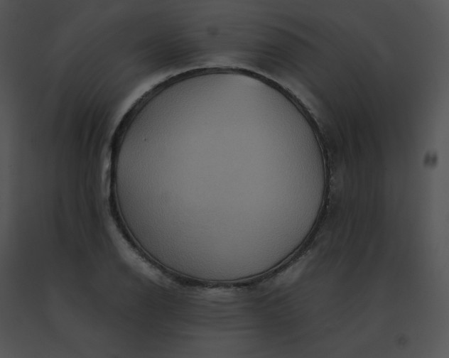 X0000091541126200708311326