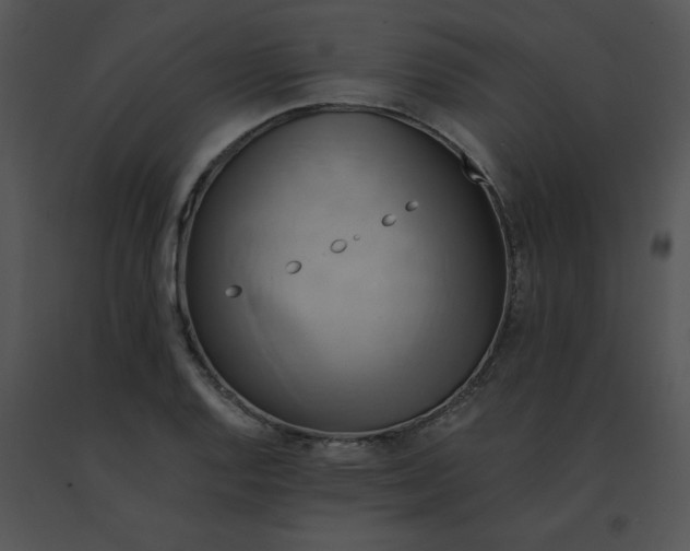 X0000091541128200708311326