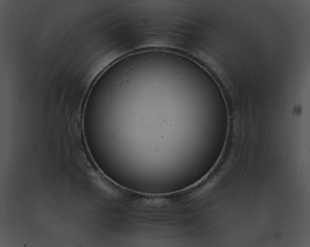 X0000091541129200708311326
