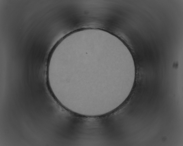 X0000091541130200708311326