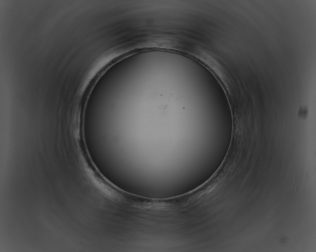 X0000091541131200708311326