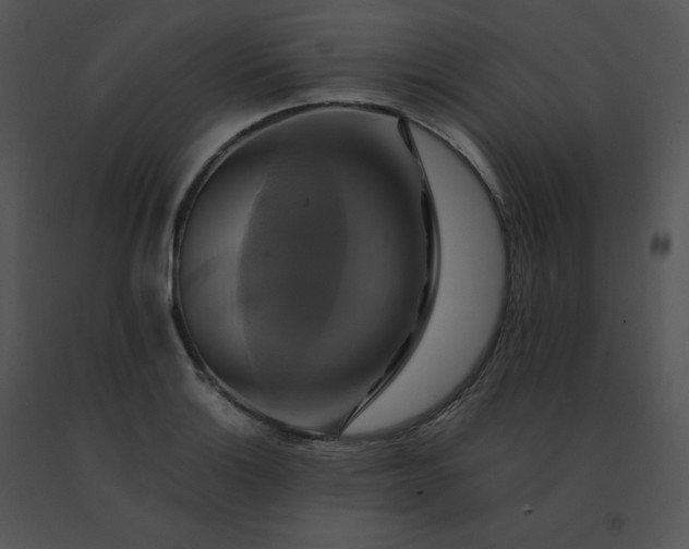 X0000091541132200708311326