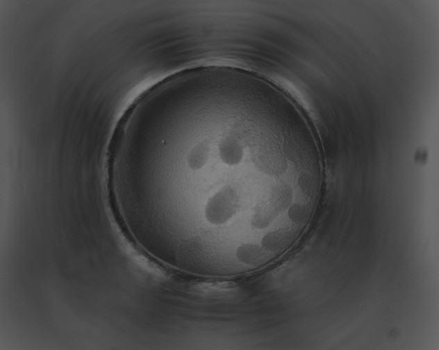 X0000091541133200708311326