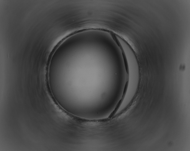 X0000091541134200708311326