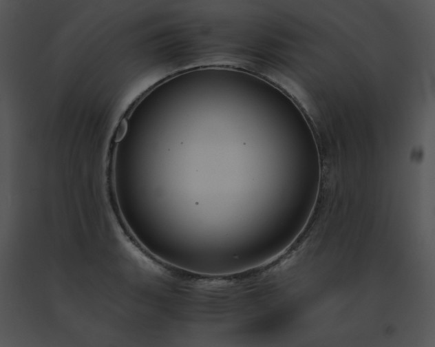 X0000091541135200708311326
