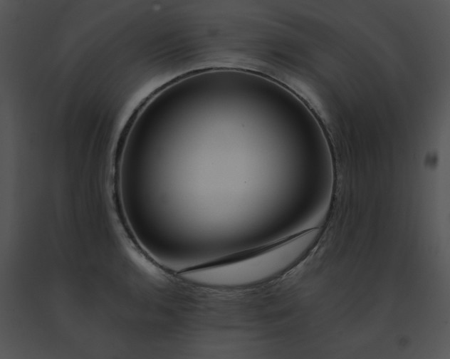 X0000091541136200708311326
