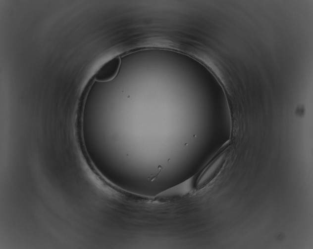 X0000091541139200708311326