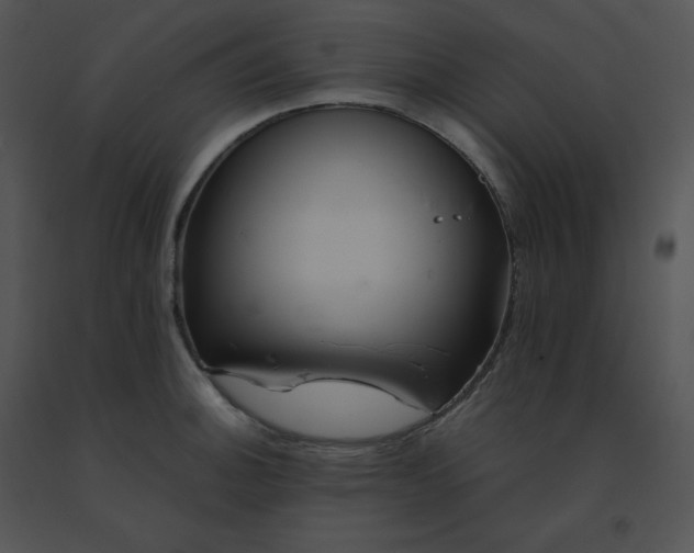 X0000091541140200708311326