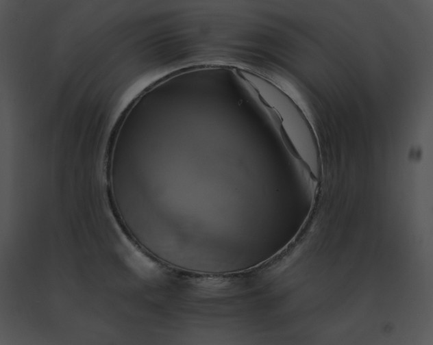 X0000091541141200708311326