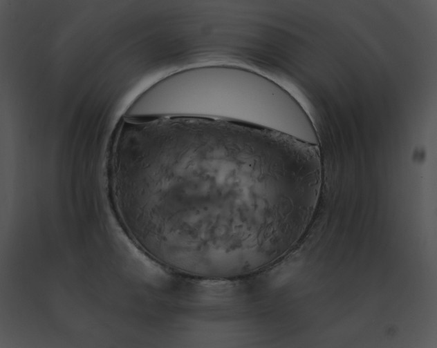X0000091541142200708311326