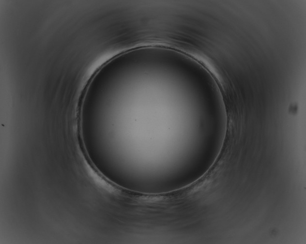 X0000091541143200708311326