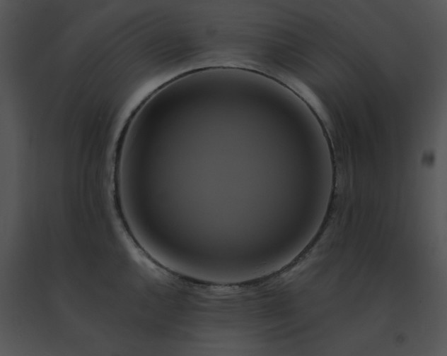X0000091541144200708311326