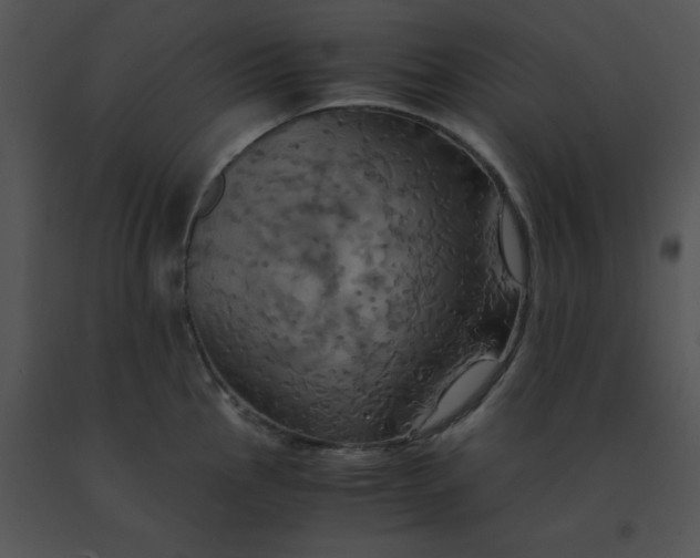 X0000091541145200708311326