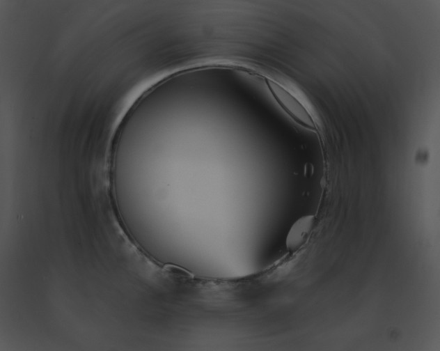 X0000091541148200708311326