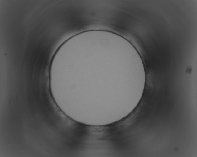 X0000091541150200708311326
