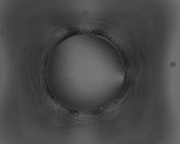 X0000091541153200708311325
