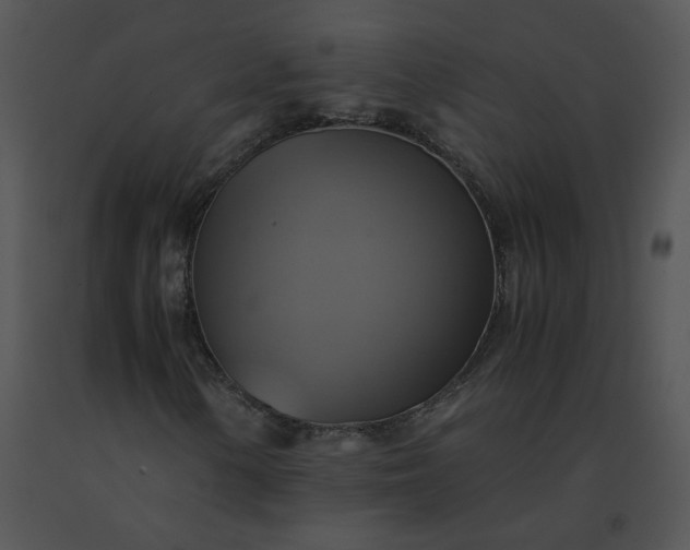 X0000091541154200708311325