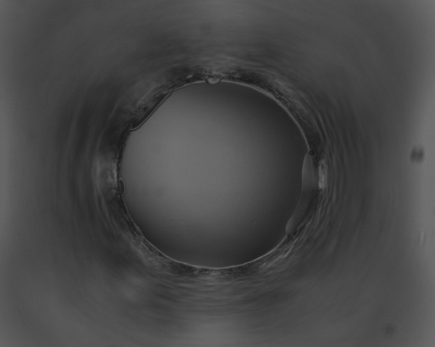X0000091541155200708311325